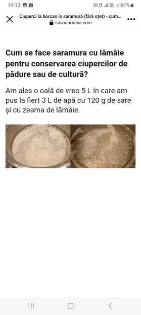 Screenshot_20230802_191301_Facebook - Ciuperci in saramura la borcan pentru iarna