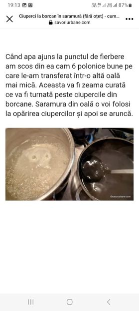 Screenshot_20230802_191306_Facebook - Ciuperci in saramura la borcan pentru iarna