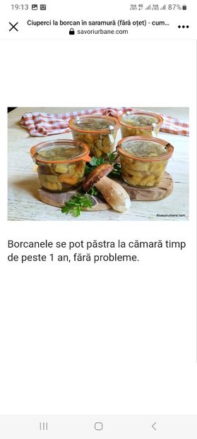 Screenshot_20230802_191345_Facebook - Ciuperci in saramura la borcan pentru iarna