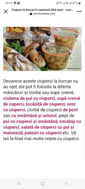 Screenshot_20230802_191351_Facebook - Ciuperci in saramura la borcan pentru iarna