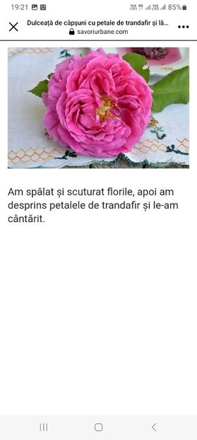 Screenshot_20230802_192200_Facebook - Dulceata de capsuni cu petale de trandafir si lamaie