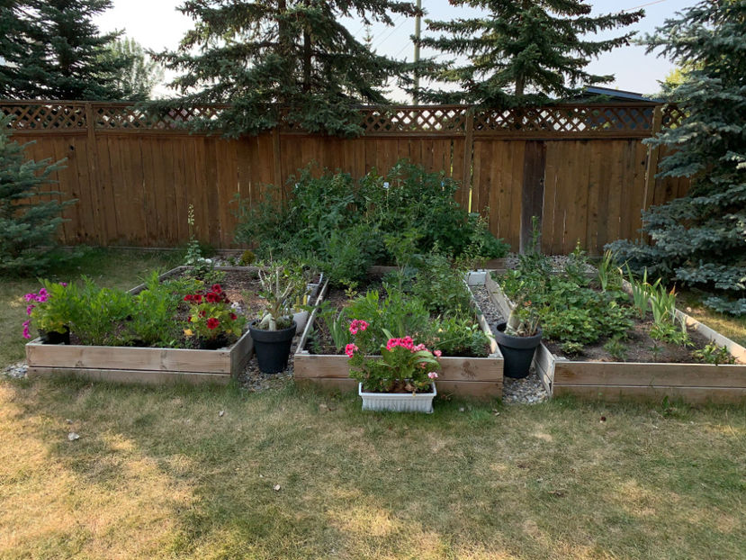  - Jurnalul gradinii 2023