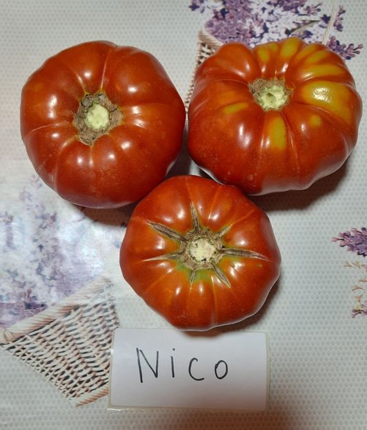 Rosii Nico - Rosii Nico