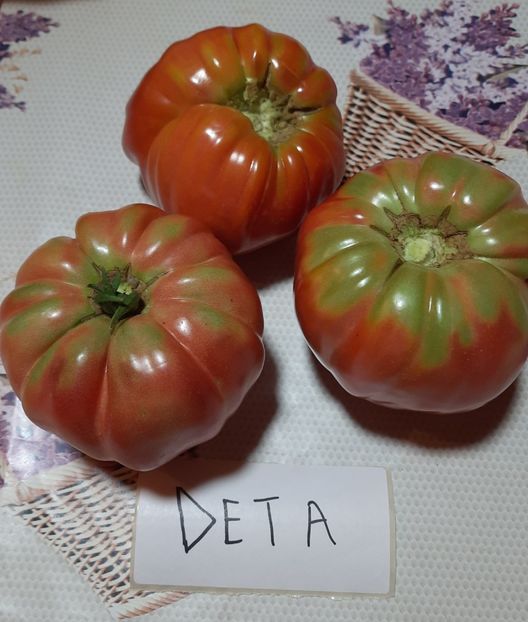 Rosii Deta - Rosii Deta