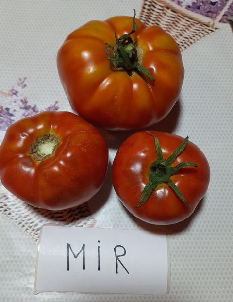 Rosii Mir - Rosii Mir