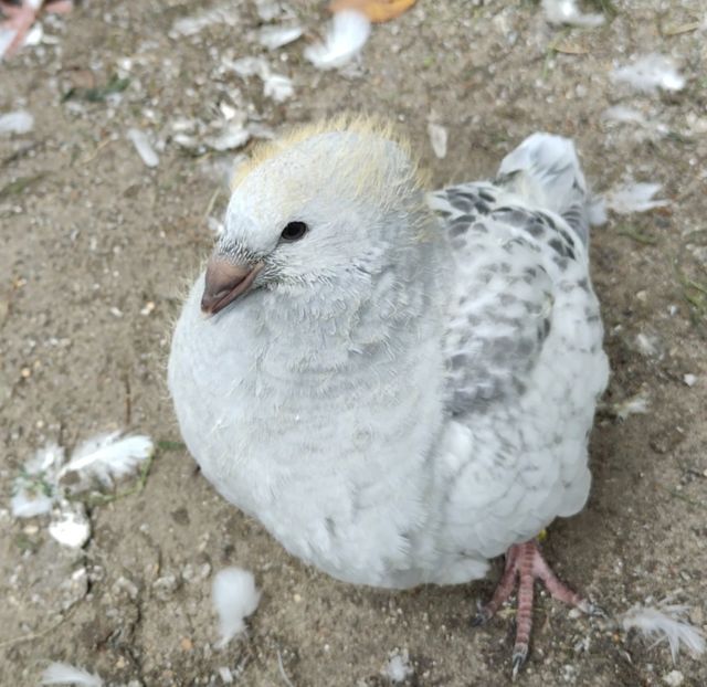 AA104 Archiwum - j- MLODE -2023- Youth