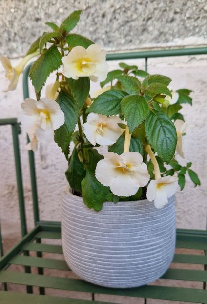  - Santiano Improved R