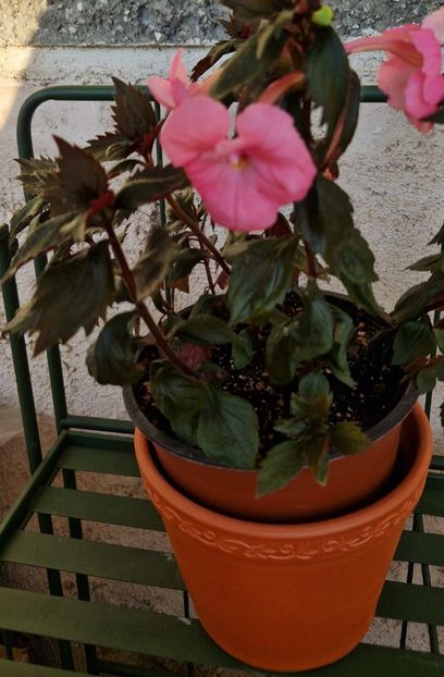 2023 - Madame Bovary 2022