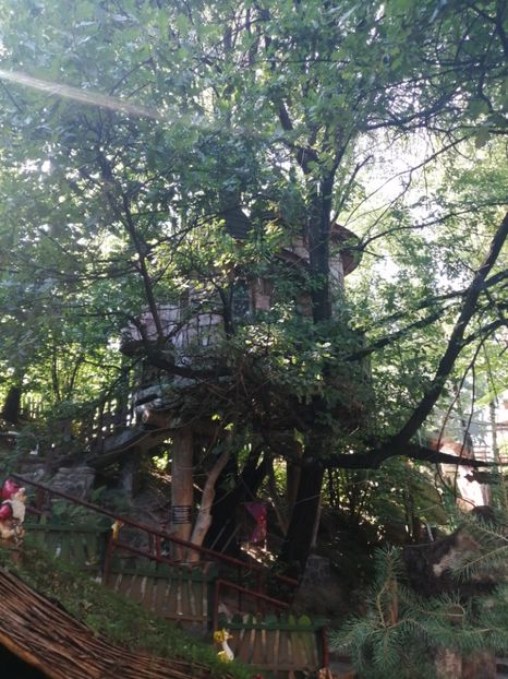  - Poze excursie Busteni cu Andra 2022