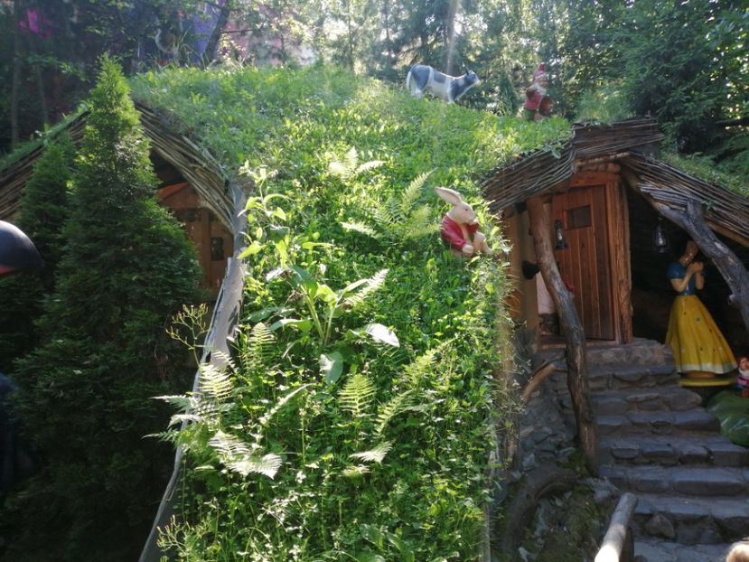  - Poze excursie Busteni cu Andra 2022