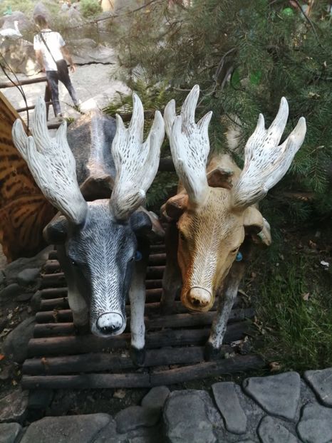  - Poze excursie Busteni cu Andra 2022