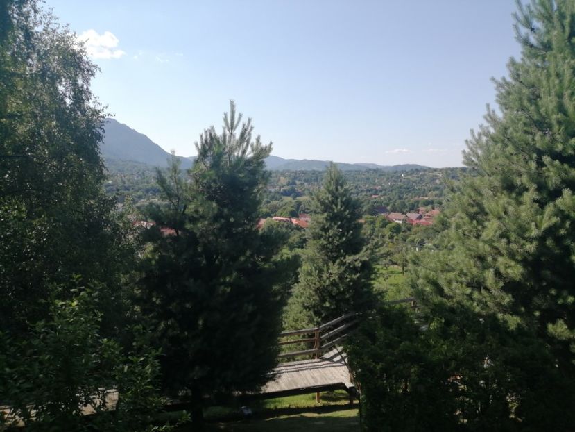  - Poze excursie Busteni cu Andra 2022
