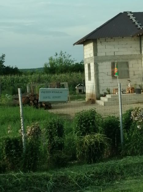  - Poze excursie Busteni cu Andra 2022