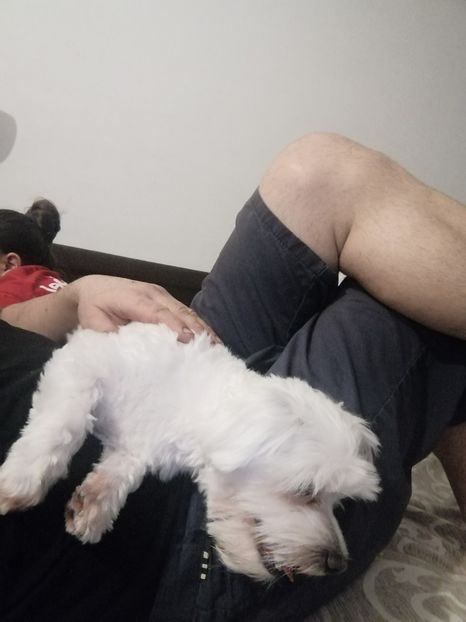  - Poze excursie Busteni cu Andra 2022