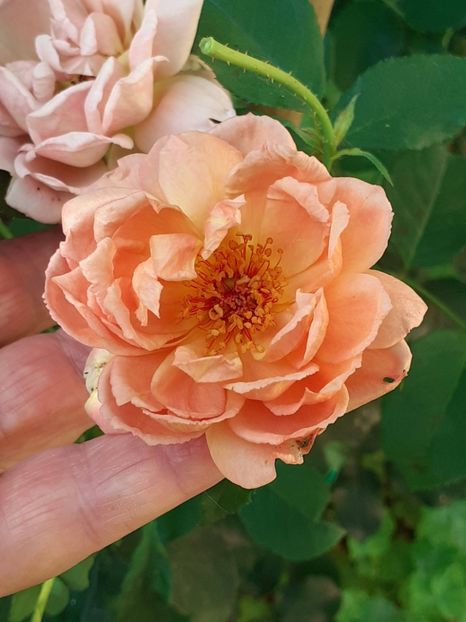 20230807_091919(0) - AUGUST