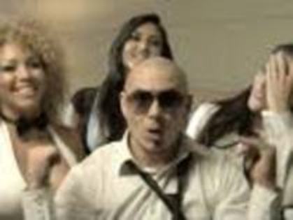 pitbull - Pitbull