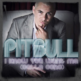 pitbull - Pitbull