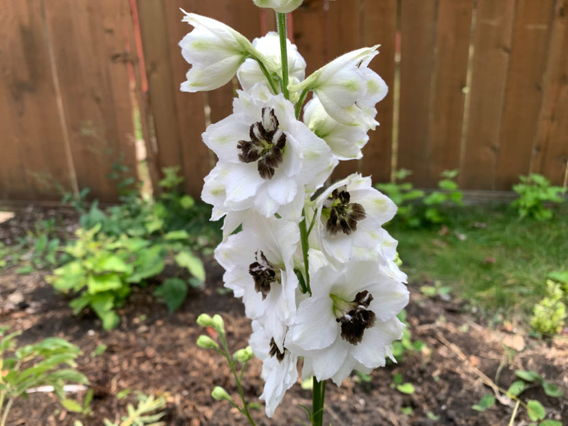  - Jurnalul gradinii 2023