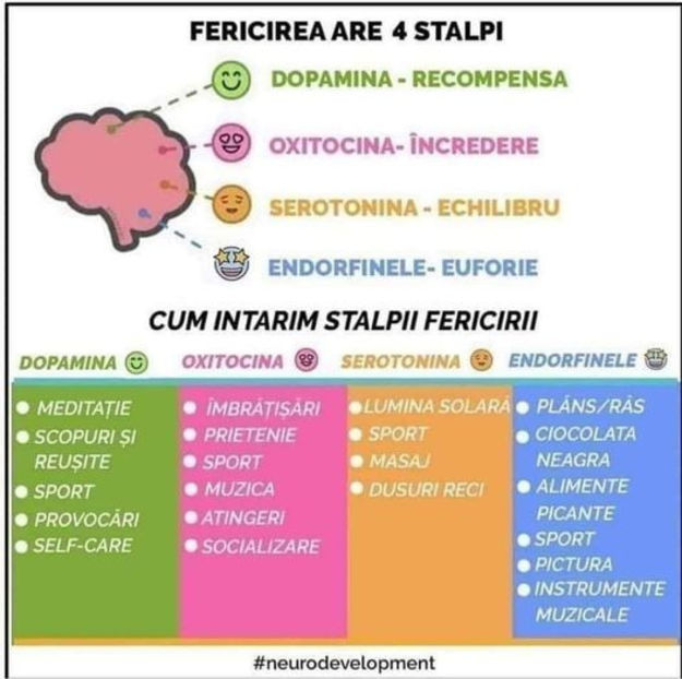  - Sfaturi Utile