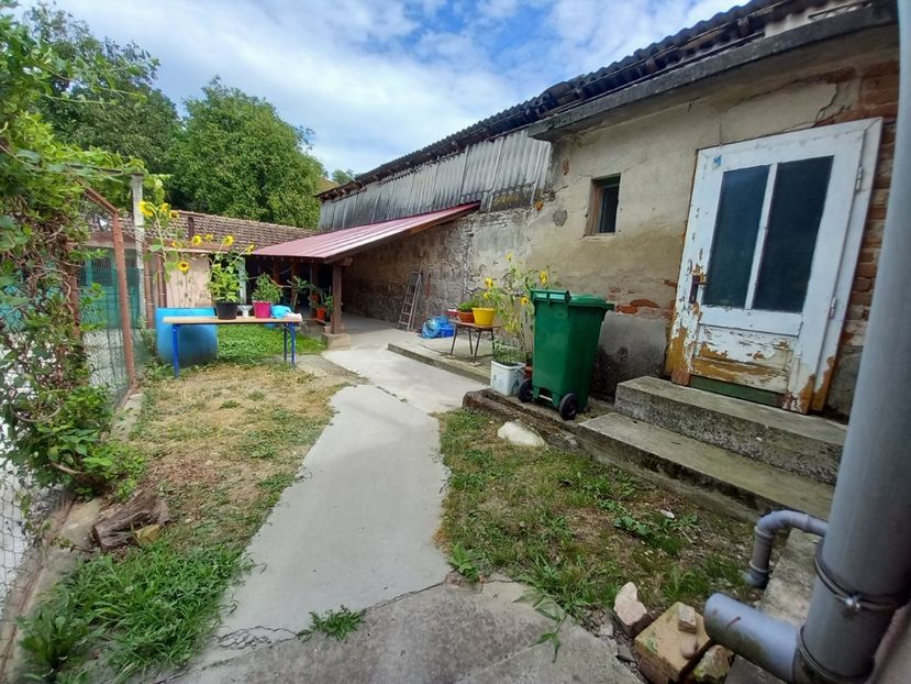  - 9 Curtea gainilor pitice