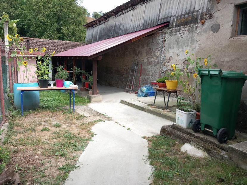  - 9 Curtea gainilor pitice