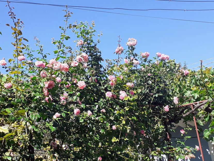 20230809_145327(0)~2 - AUGUST