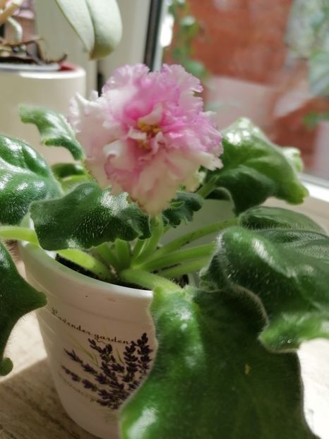 10.08.2023 - Georgia