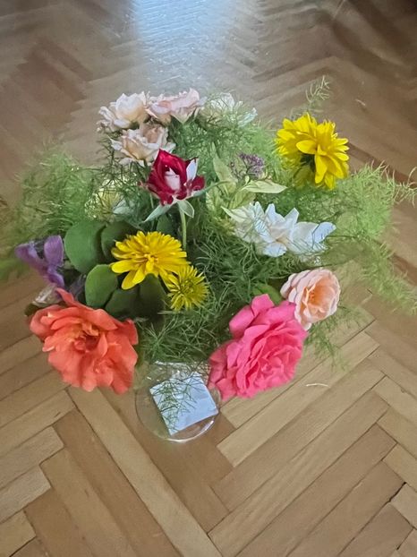 520A51B5-8866-43DF-96B7-EC668F198028 - Trandafiri 2023 3 2024