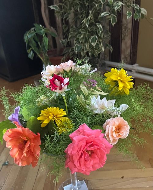 3C66F0A7-3D88-40C3-B215-8A5CC6BEA3FF - Trandafiri 2023 3 2024