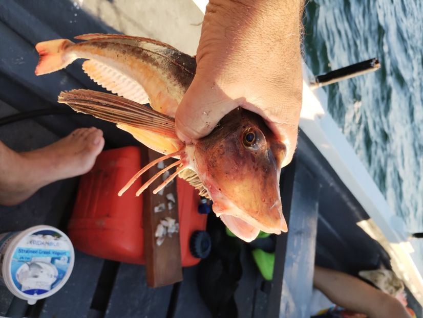  - vanatoare si pescuit