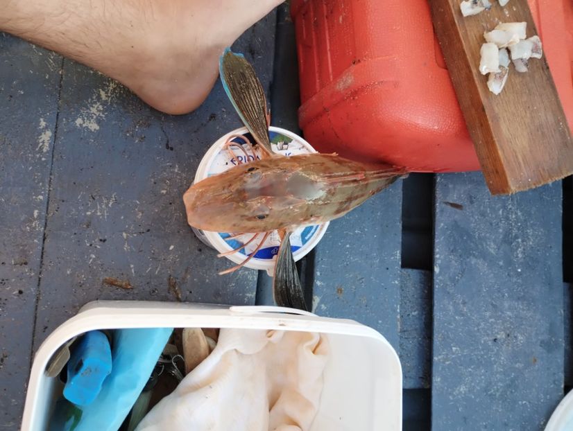  - vanatoare si pescuit