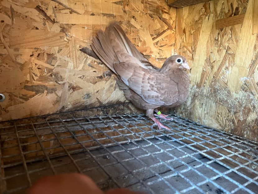 3044/23 - 6-lot zbor 2023