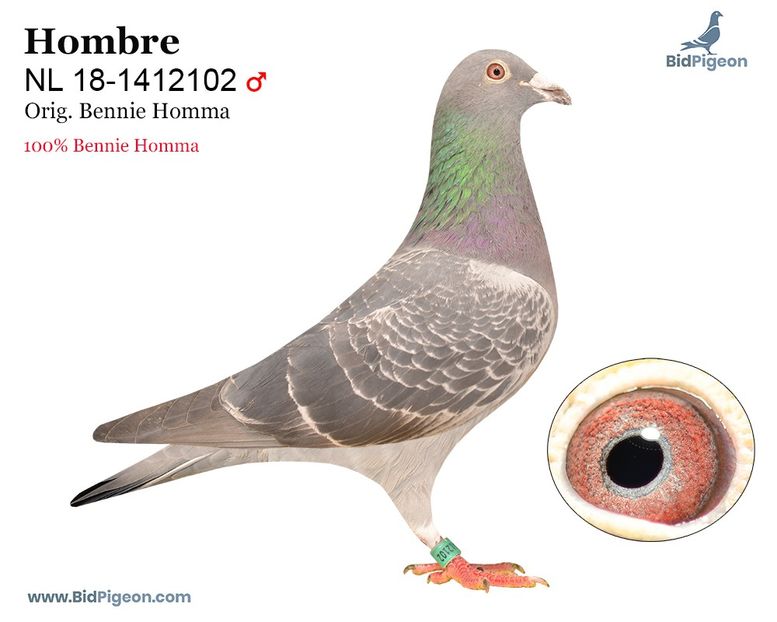 HOMBRE - original Bennie Homma - 1 ACHIZIȚII 2020-2025