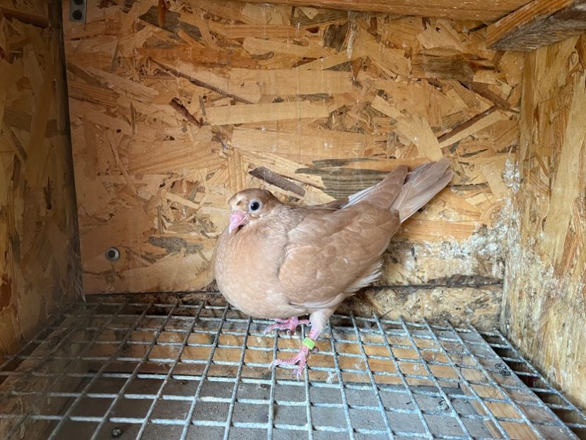 3046/23 - 6-lot zbor 2023