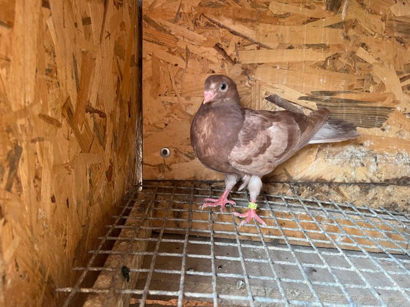 3034/23 - 6-lot zbor 2023