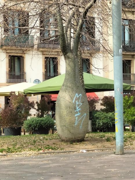 IMG20230306145114 - Barcelona 2 _ 2023