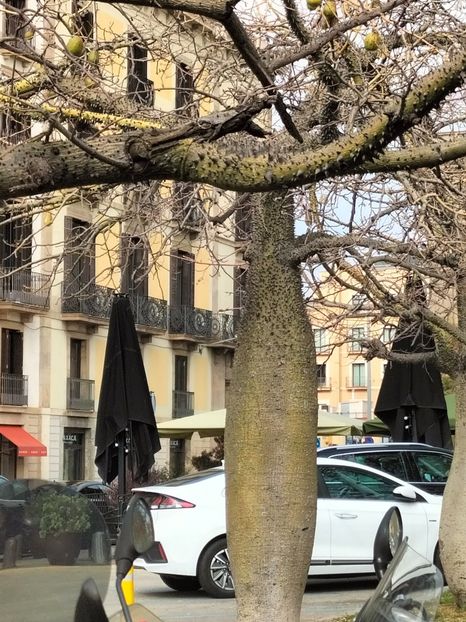 IMG20230306145018 - Barcelona 2 _ 2023