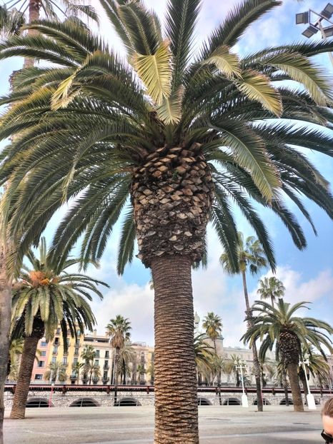 IMG20230306143312 - Barcelona 2 _ 2023