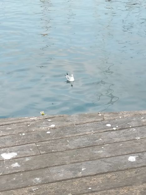 IMG20230306141953 - Barcelona 2 _ 2023