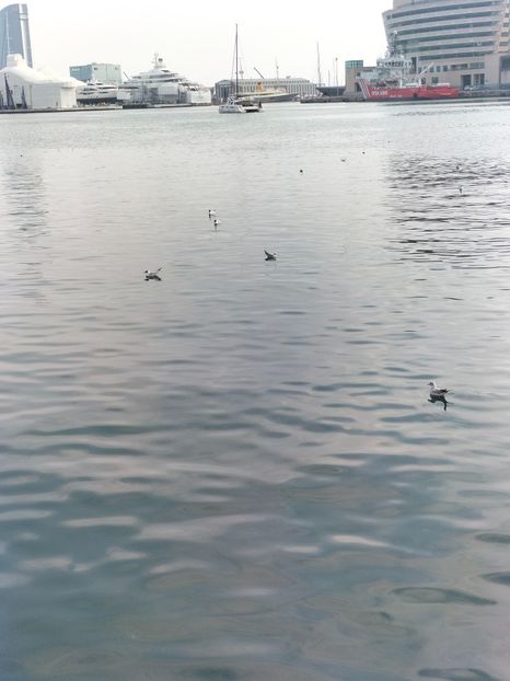 IMG20230306141522 - Barcelona 2 _ 2023