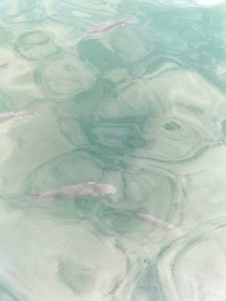 IMG20230306141515 - Barcelona 2 _ 2023