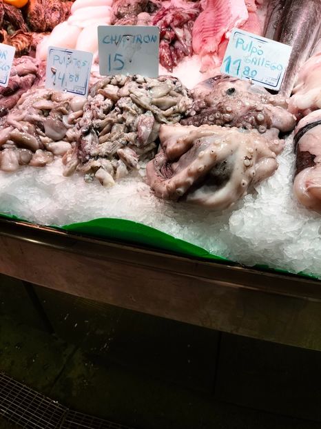 IMG20230307110615 - Barcelona 2 _ 2023