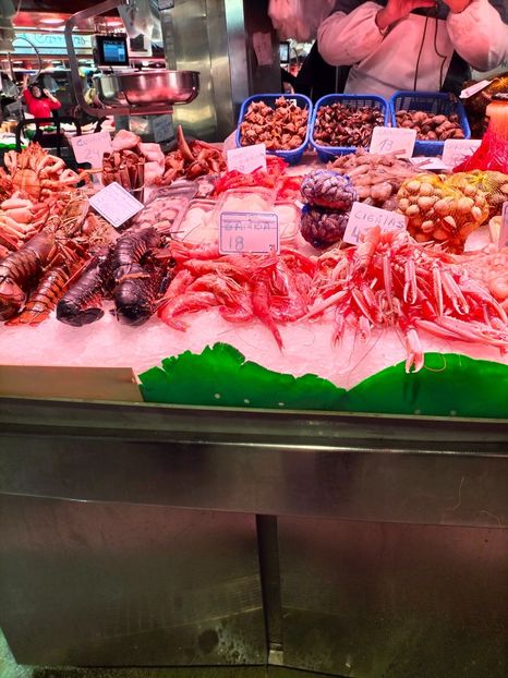 IMG20230307110607 - Barcelona 2 _ 2023