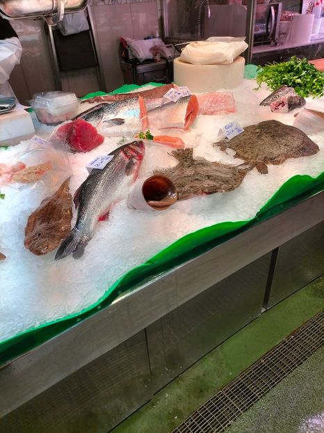 IMG20230307110559 - Barcelona 2 _ 2023