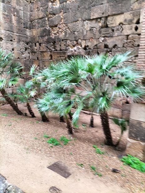 IMG20230309112114 - Barcelona 3_2023