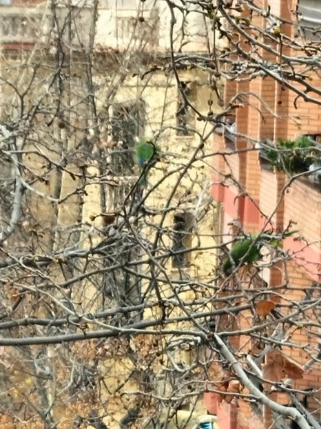 IMG20230308163351 - Barcelona 3_2023