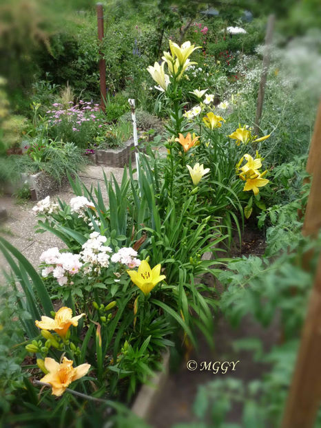 © - 2023 - 02 - Vara