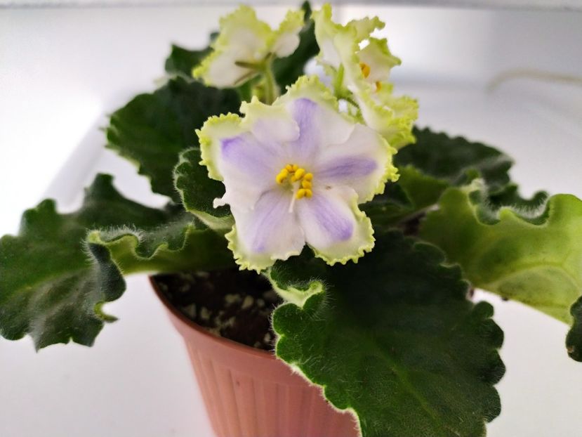 17 august 2023 - RS Izumrudnyj Gorod