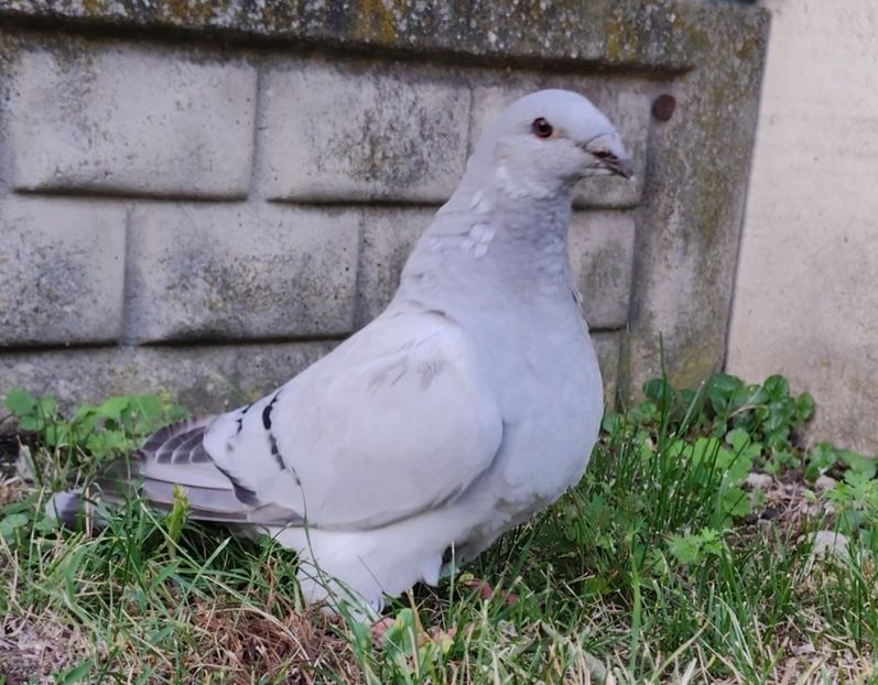 JRS18 ARCHIWUM - j- MLODE -2023- Youth