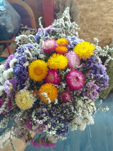  - Limonium Tatar 2023